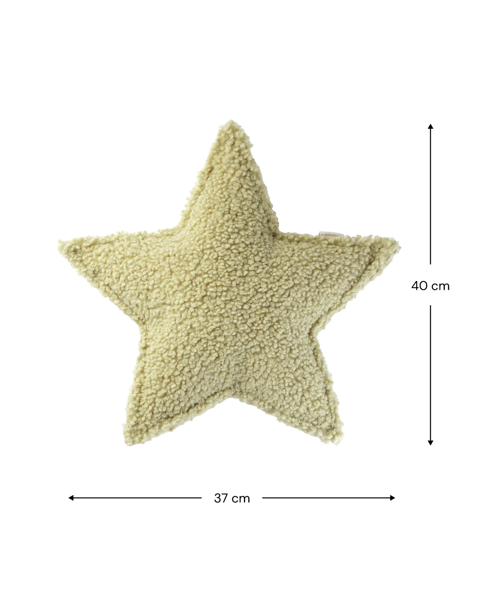 Star Matcha Toy Cushion