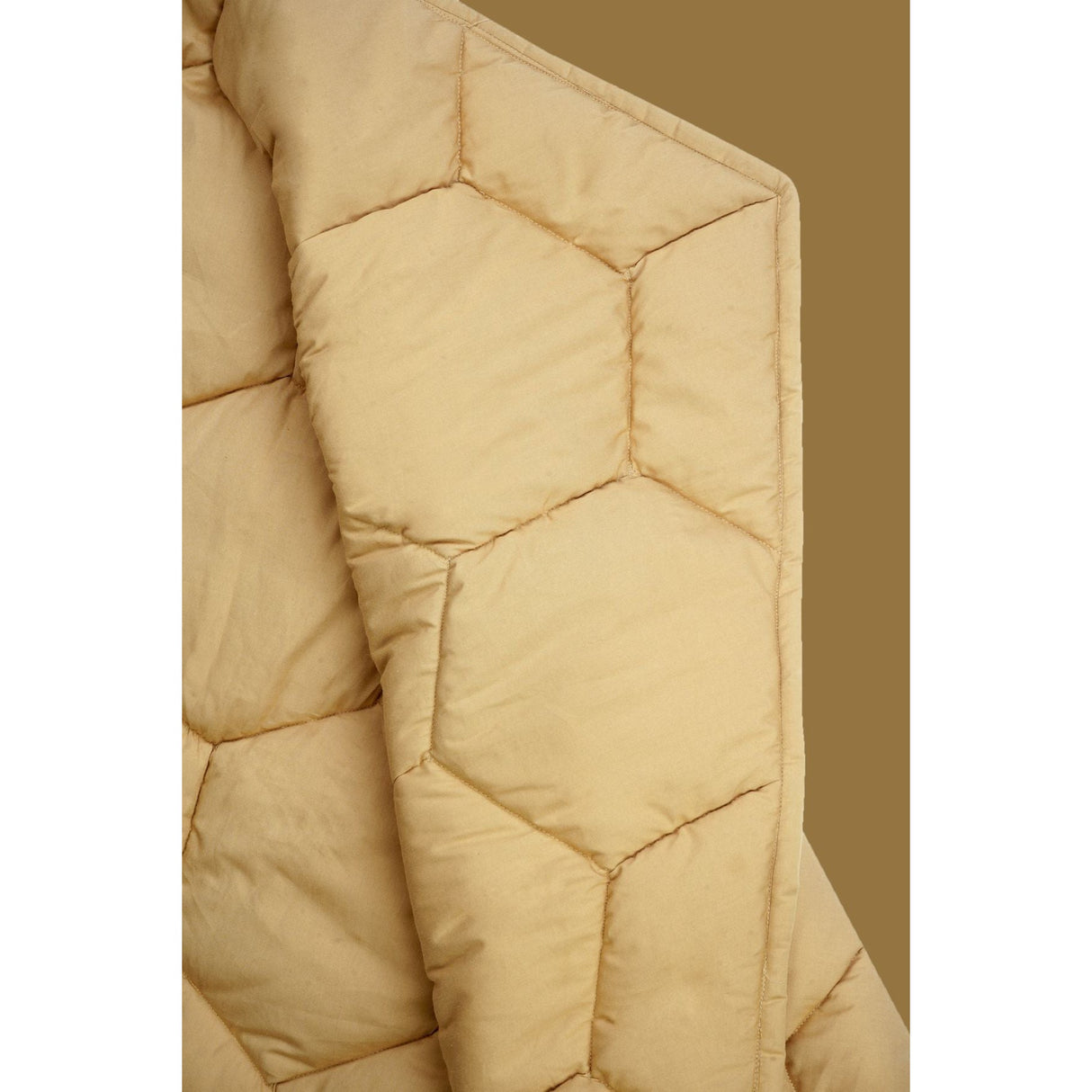 Planet Bee Honeycomb Playmat