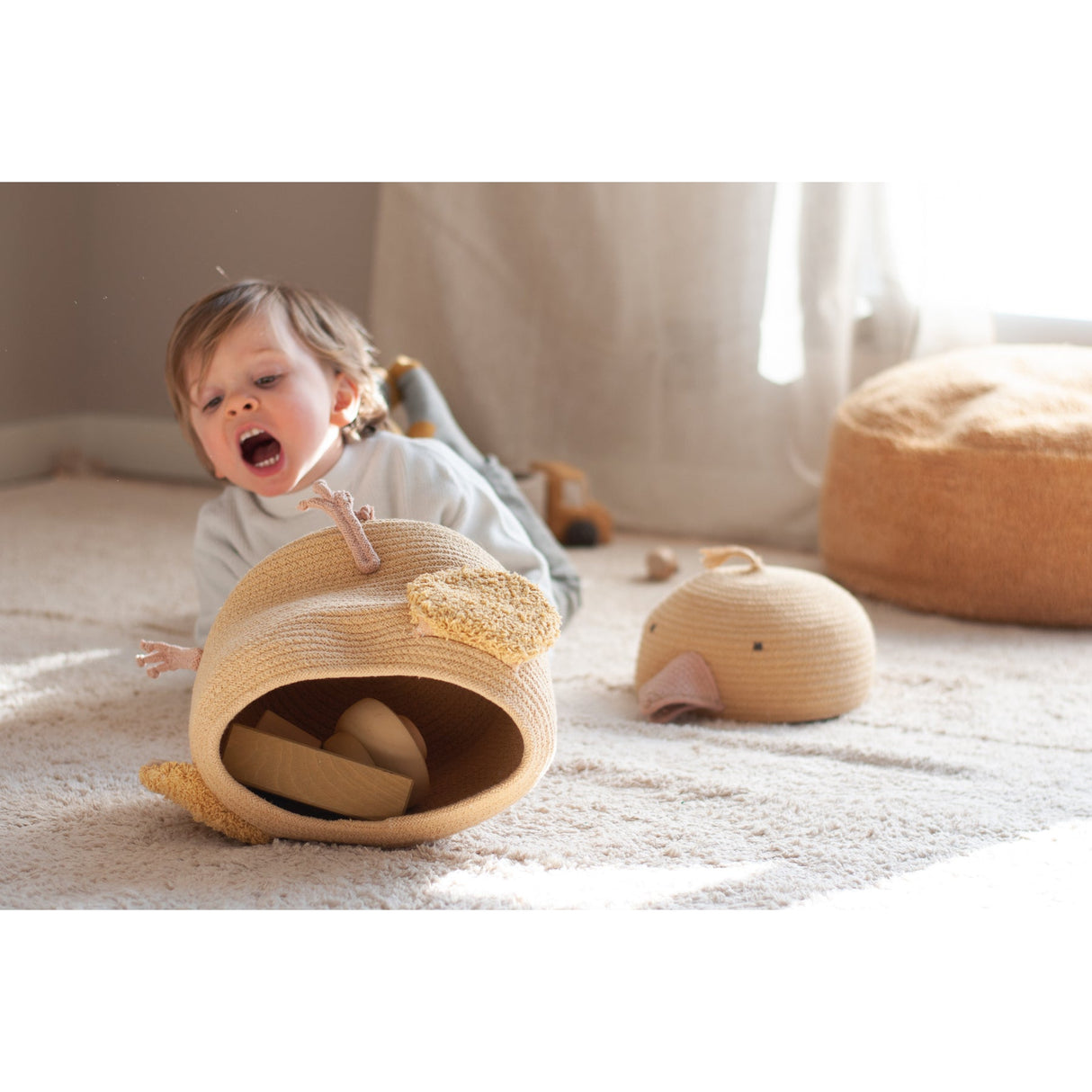 Charlie the Chicken Basket