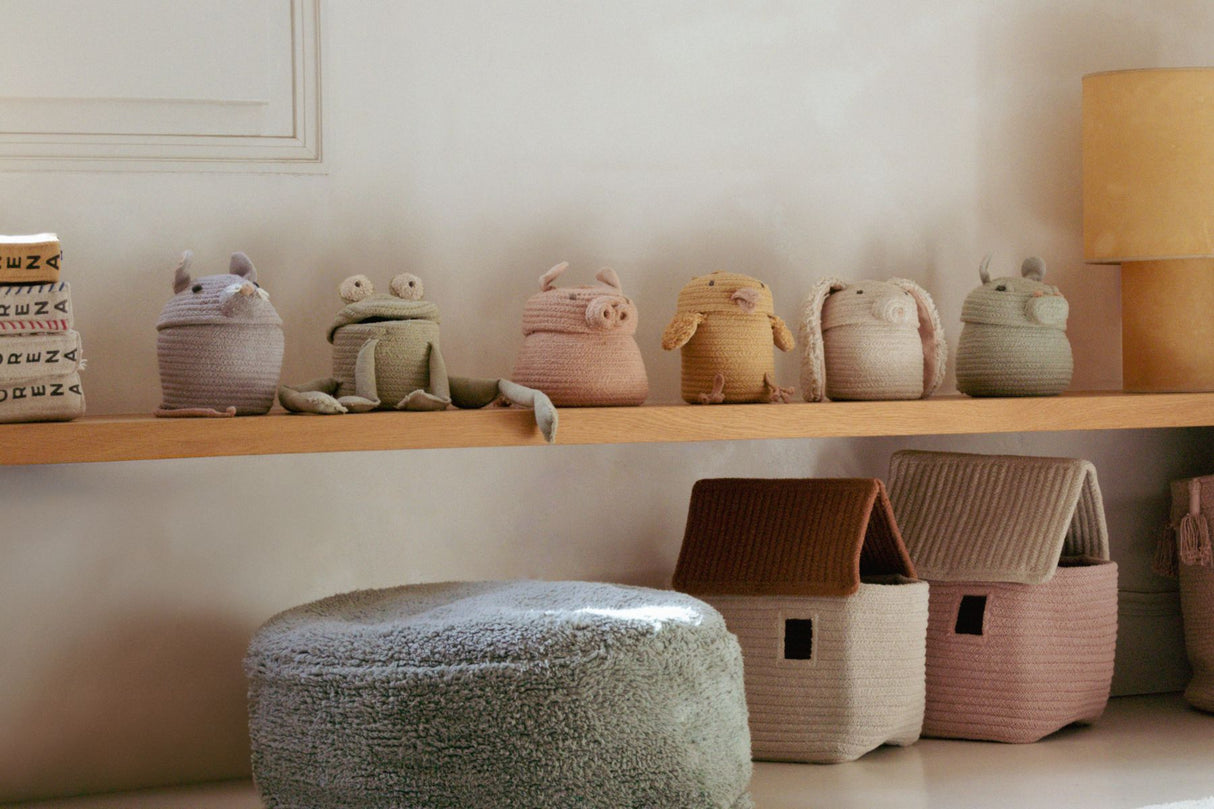 Mini Fred the Frog Basket