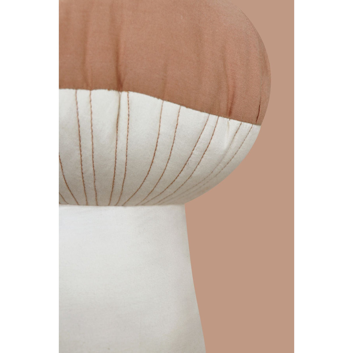 Boletus Cushion