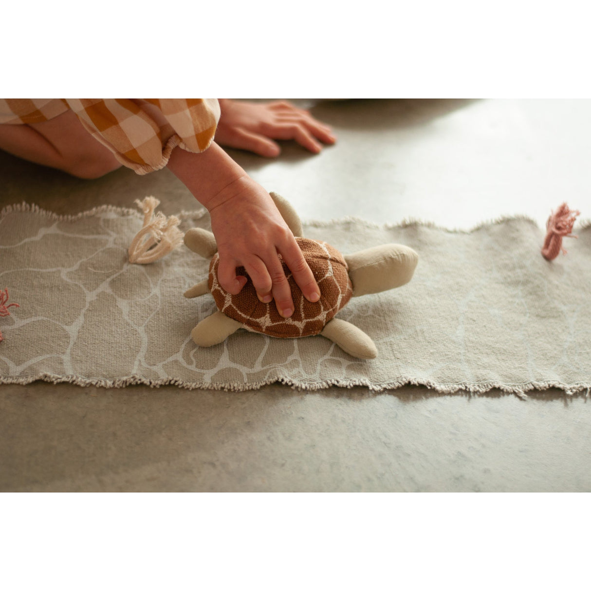 Sea Wonders Ride & Roll Under the Sea