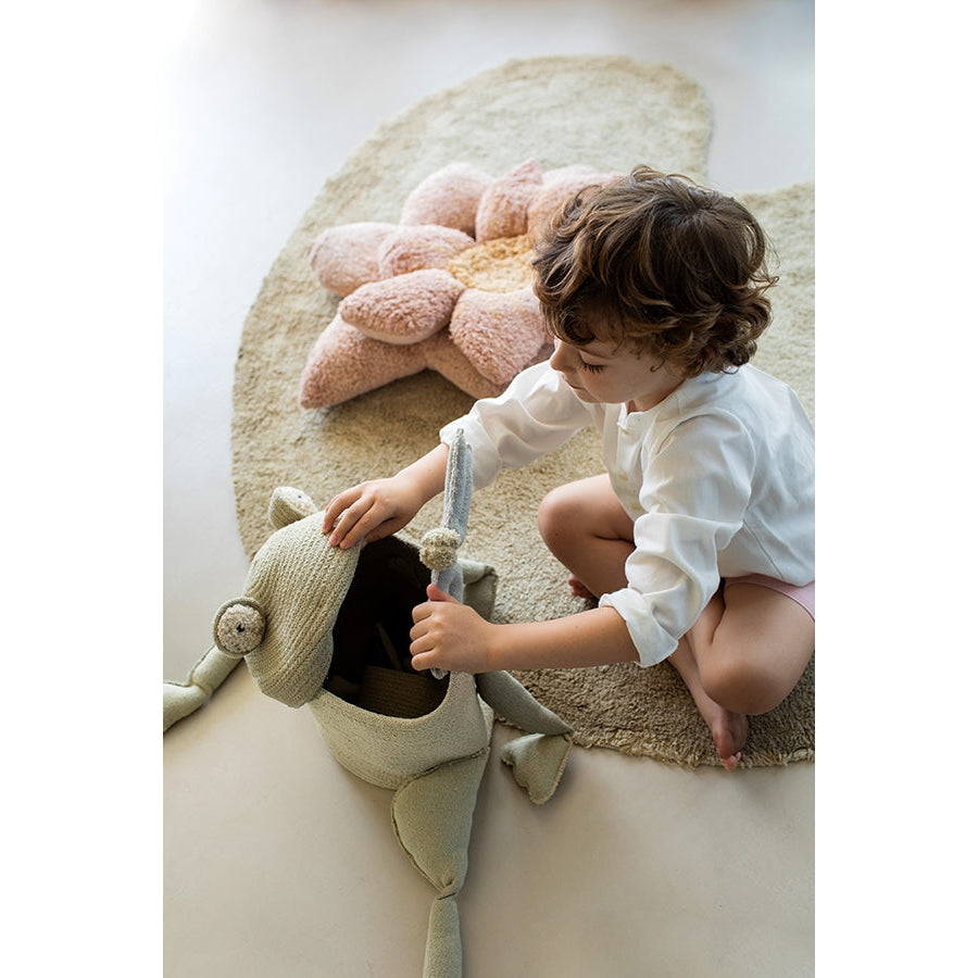 Fantasy Garden Fred the Frog Basket