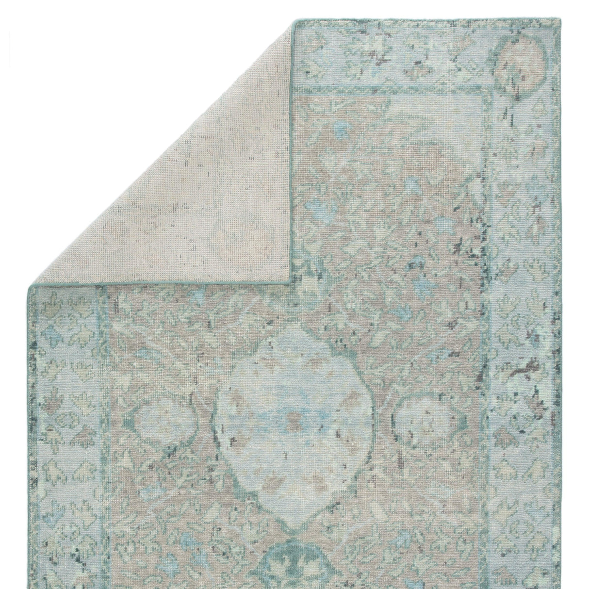 Rugs by Roo | Jaipur Living Alessia Hand-Knotted Bordered Aqua Beige Area Rug-RUG132909