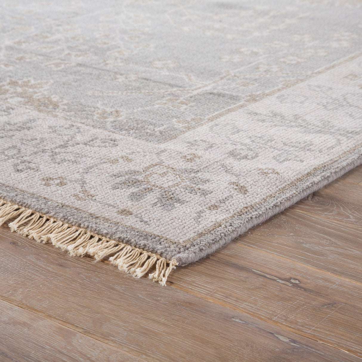 Rugs by Roo | Jaipur Living Reagan Hand-Knotted Bordered Gray Beige Area Rug-RUG124623