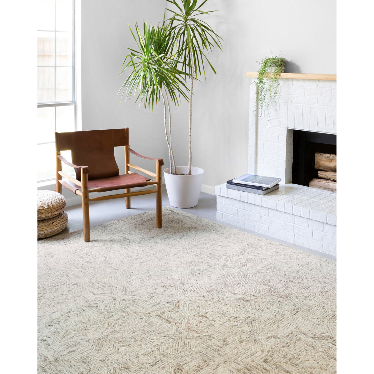 Rugs by Roo Loloi Ziva Neutral Area Rug in size 2' 3" x 3' 9"