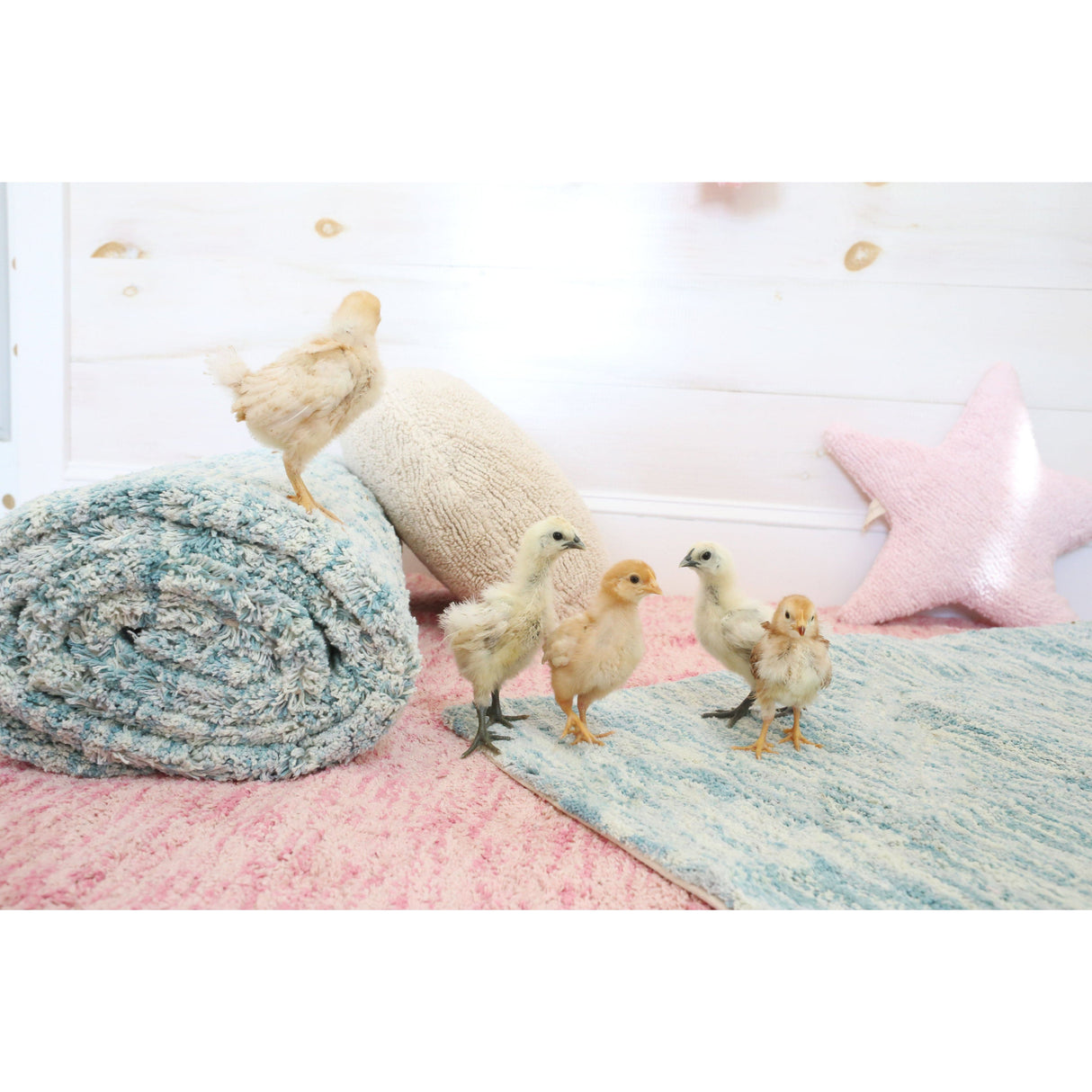 Rugs by Roo | Lorena Canals Star Pink Cushion-SC-ST-PK