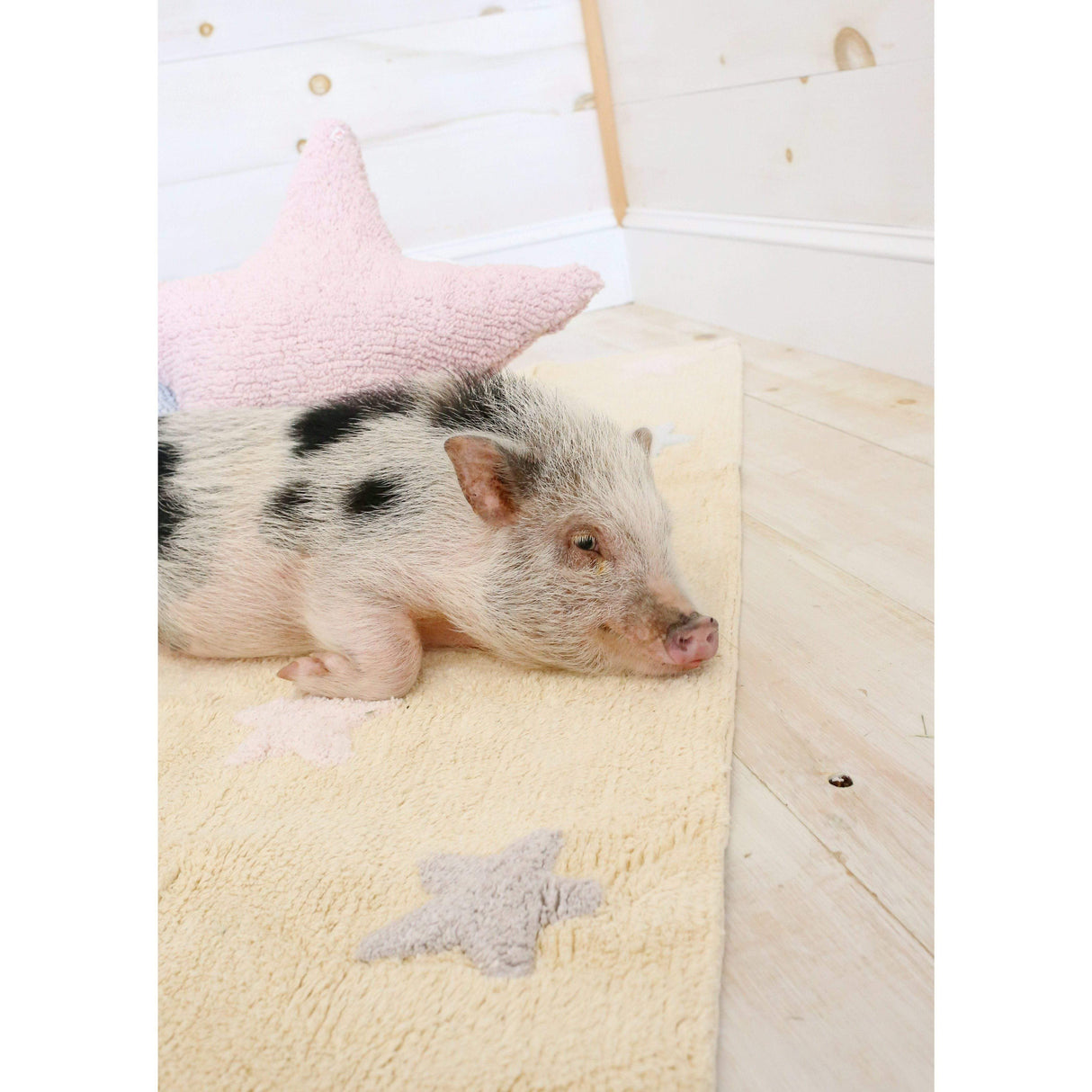 Rugs by Roo | Lorena Canals Star Pink Cushion-SC-ST-PK