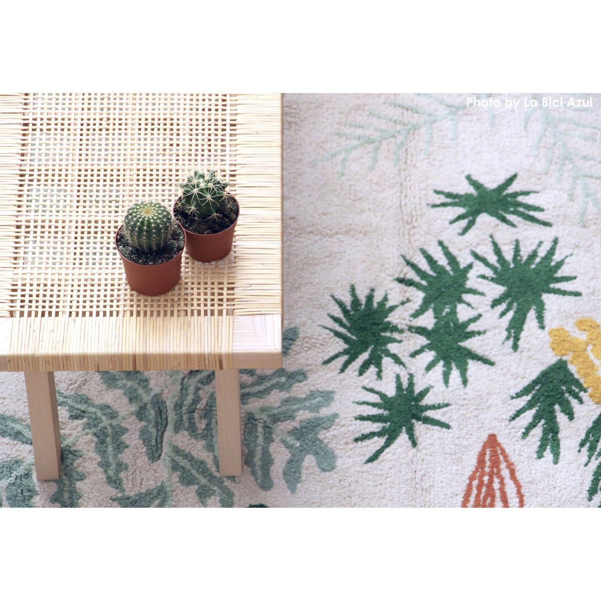 Rugs by Roo | Lorena Canals Botanic Plants Machine Washable Area Rug-C-BOTANIC