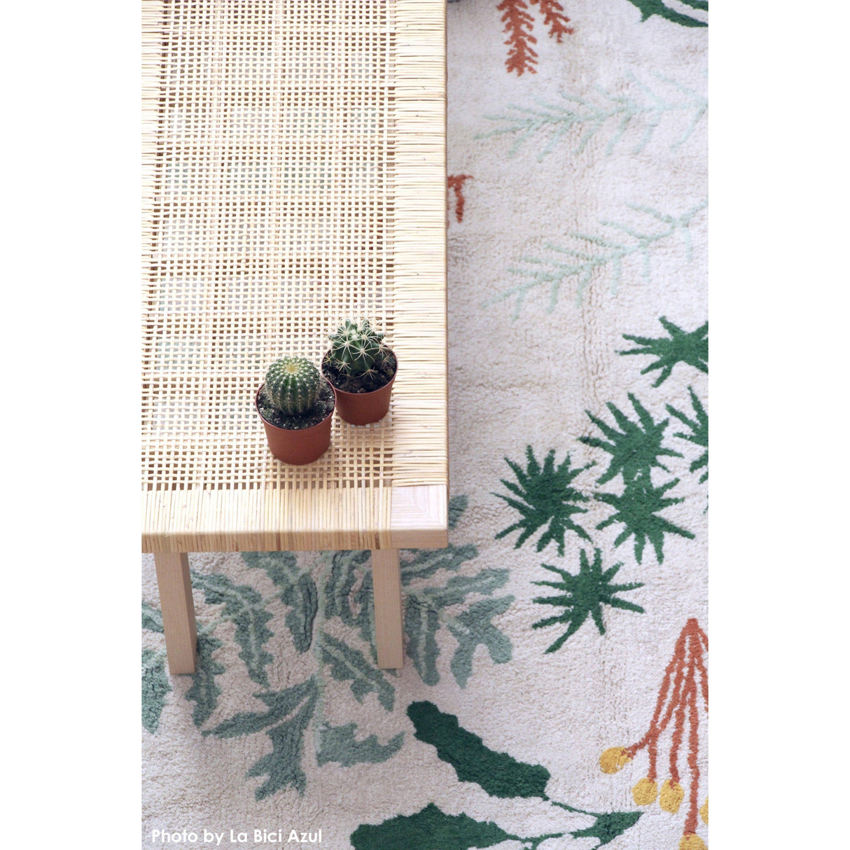 Rugs by Roo | Lorena Canals Botanic Plants Machine Washable Area Rug-C-BOTANIC