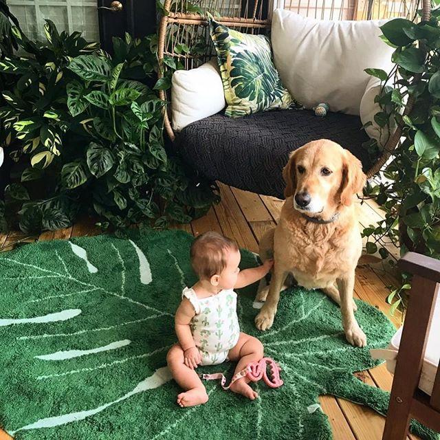 Rugs by Roo | Lorena Canals Monstera Leaf Machine Washable Area Rug-C-MONSTERA