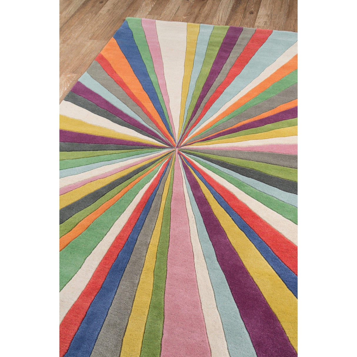 Rugs by Roo | Momeni Delhi Multi Area Rug-DELHIDL-62MTI2380
