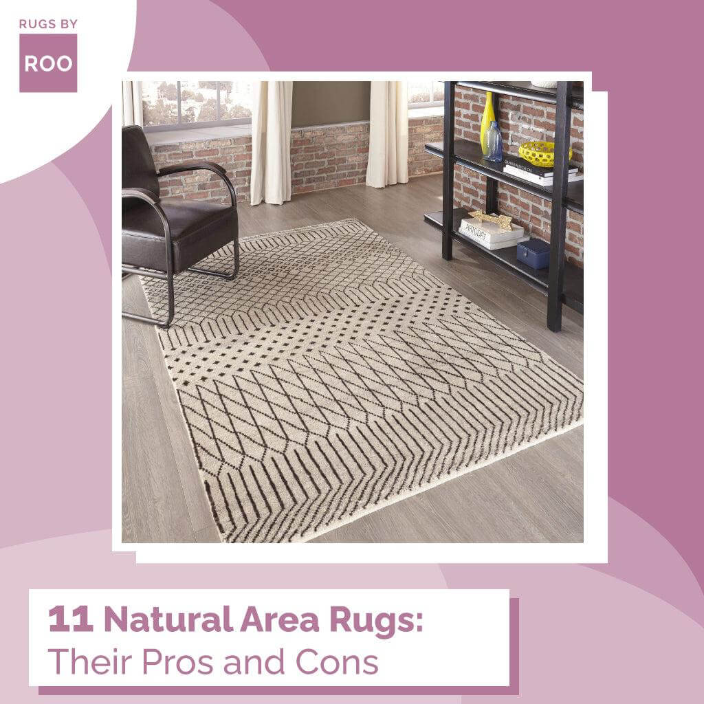 11 Natural Area Rugs: Their Pros and Cons - Rugs by Roo