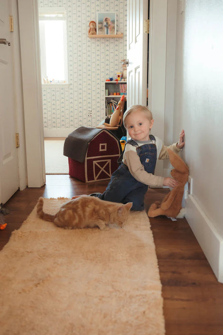 Custom Cotton Washable Area Rug