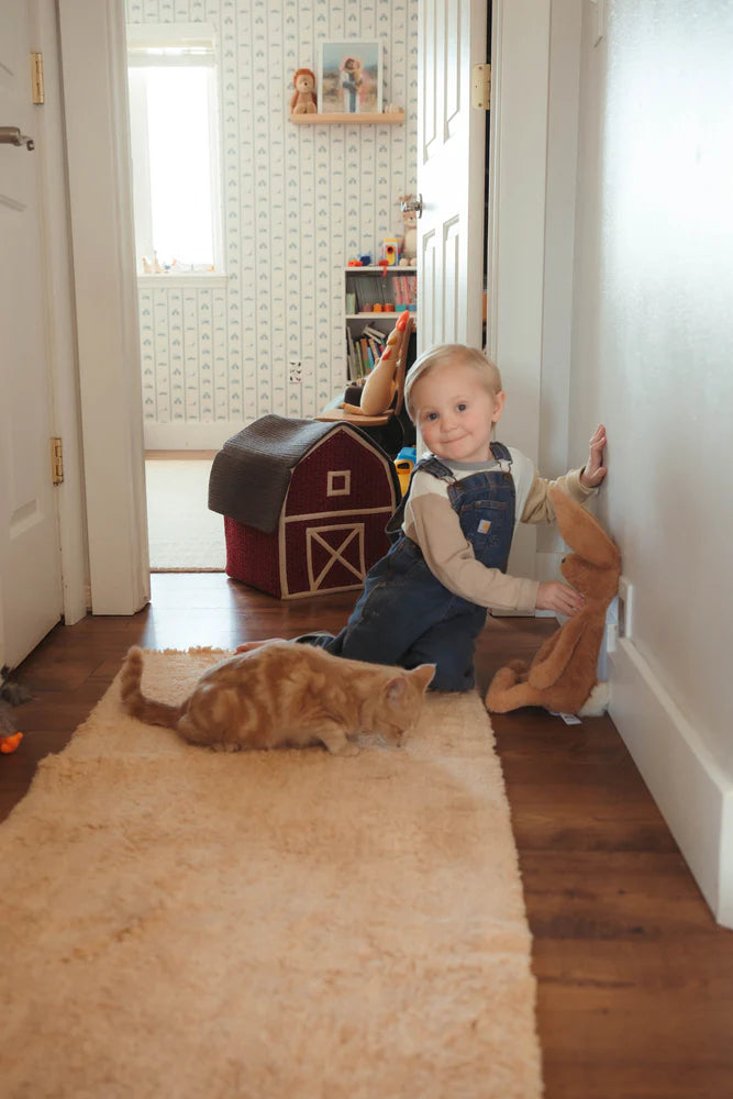 Custom Wool Washable Area Rug