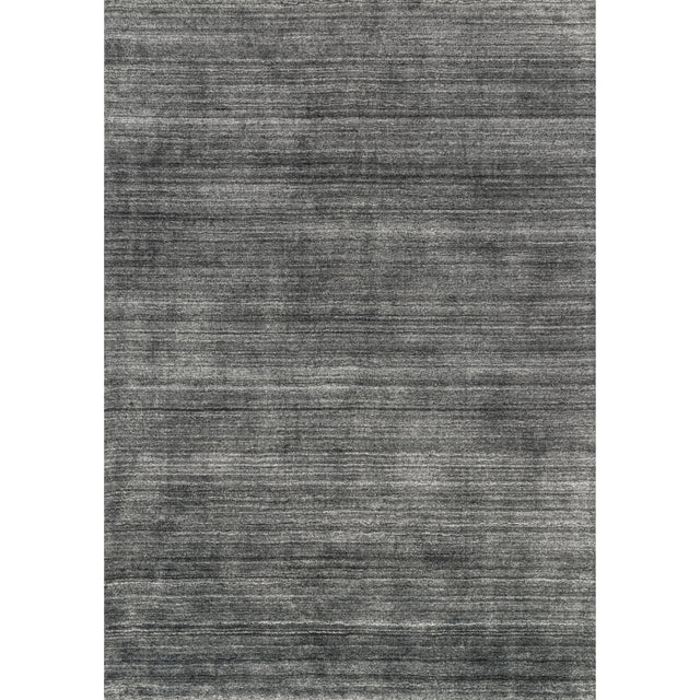 Rugs by Roo Loloi Barkley Charcoal Area Rug in size 3' 6" x 5' 6"