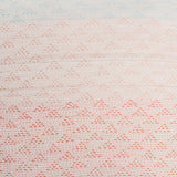 Rugs by Roo | Leah Singh Eva Ivory/Coral Pillow 20X20-H16EVA02