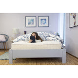 Rugs by Roo | Naturepedic Verse Organic Kids Mattress-MT60-1