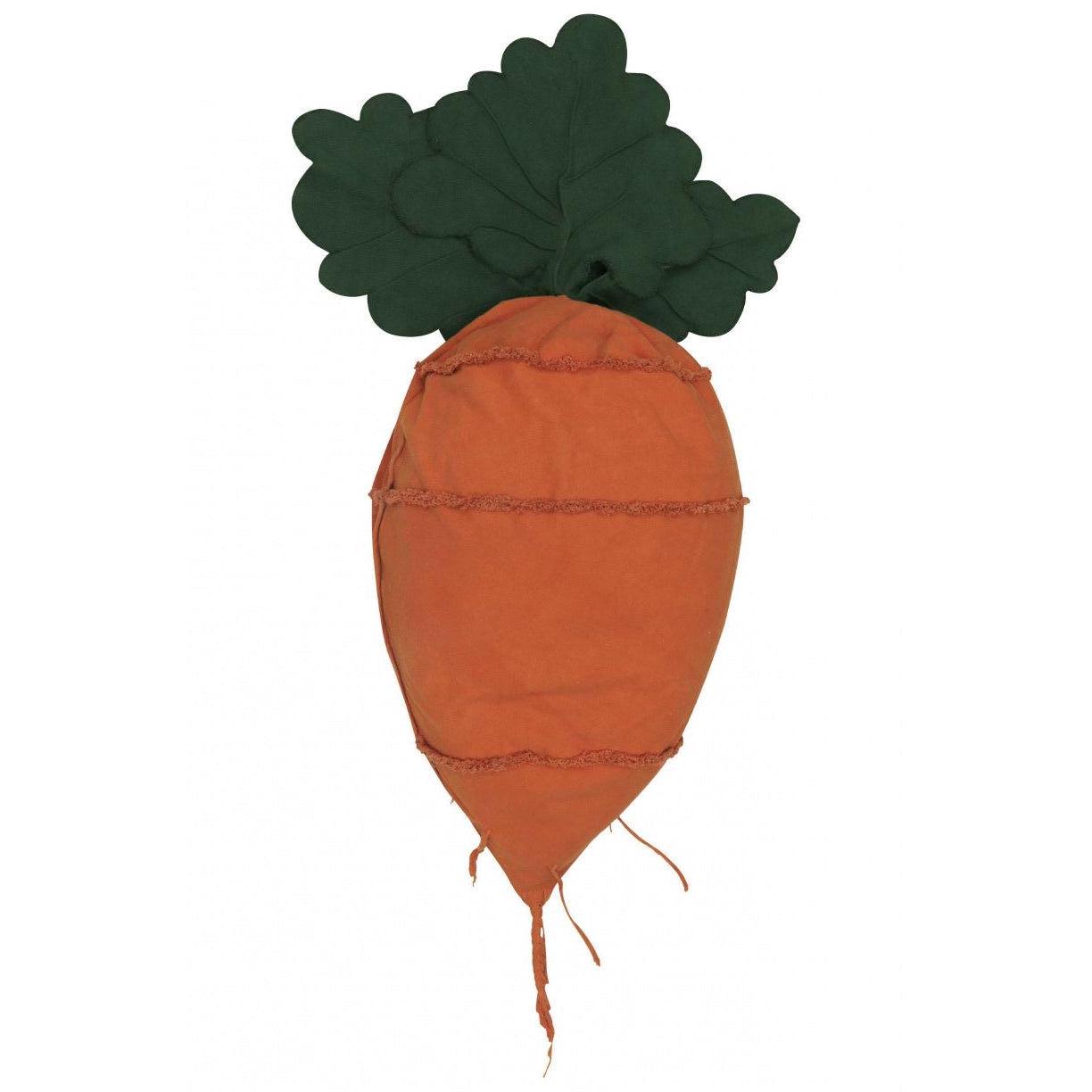 Oli & Carol Cathy The Carrot Bean Bag