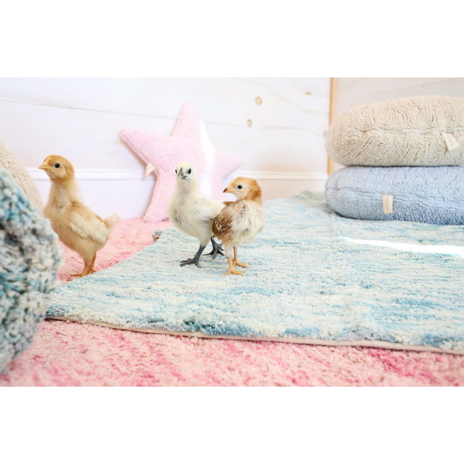 Rugs by Roo | Lorena Canals Star Pink Cushion-SC-ST-PK