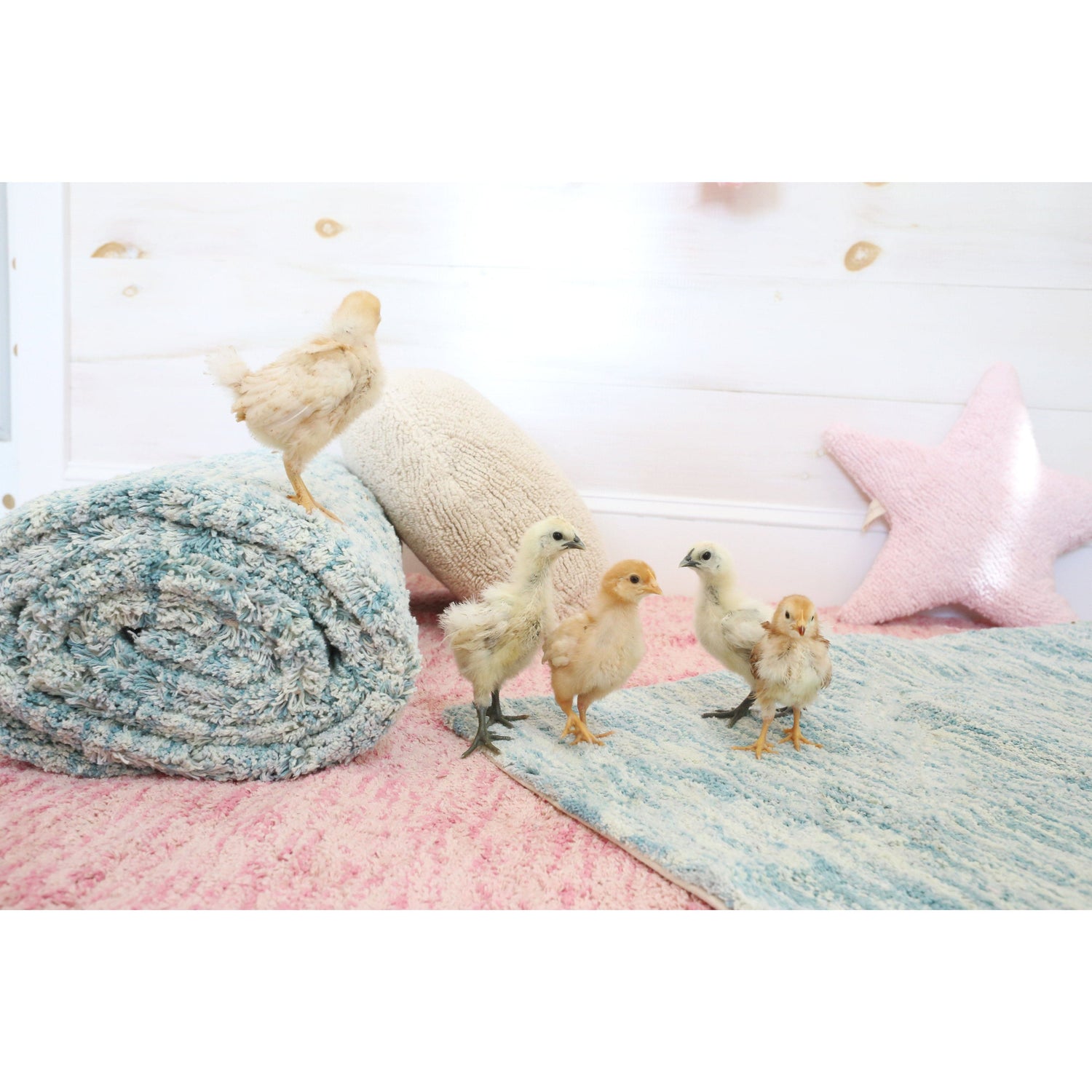 Rugs by Roo | Lorena Canals Star Pink Cushion-SC-ST-PK