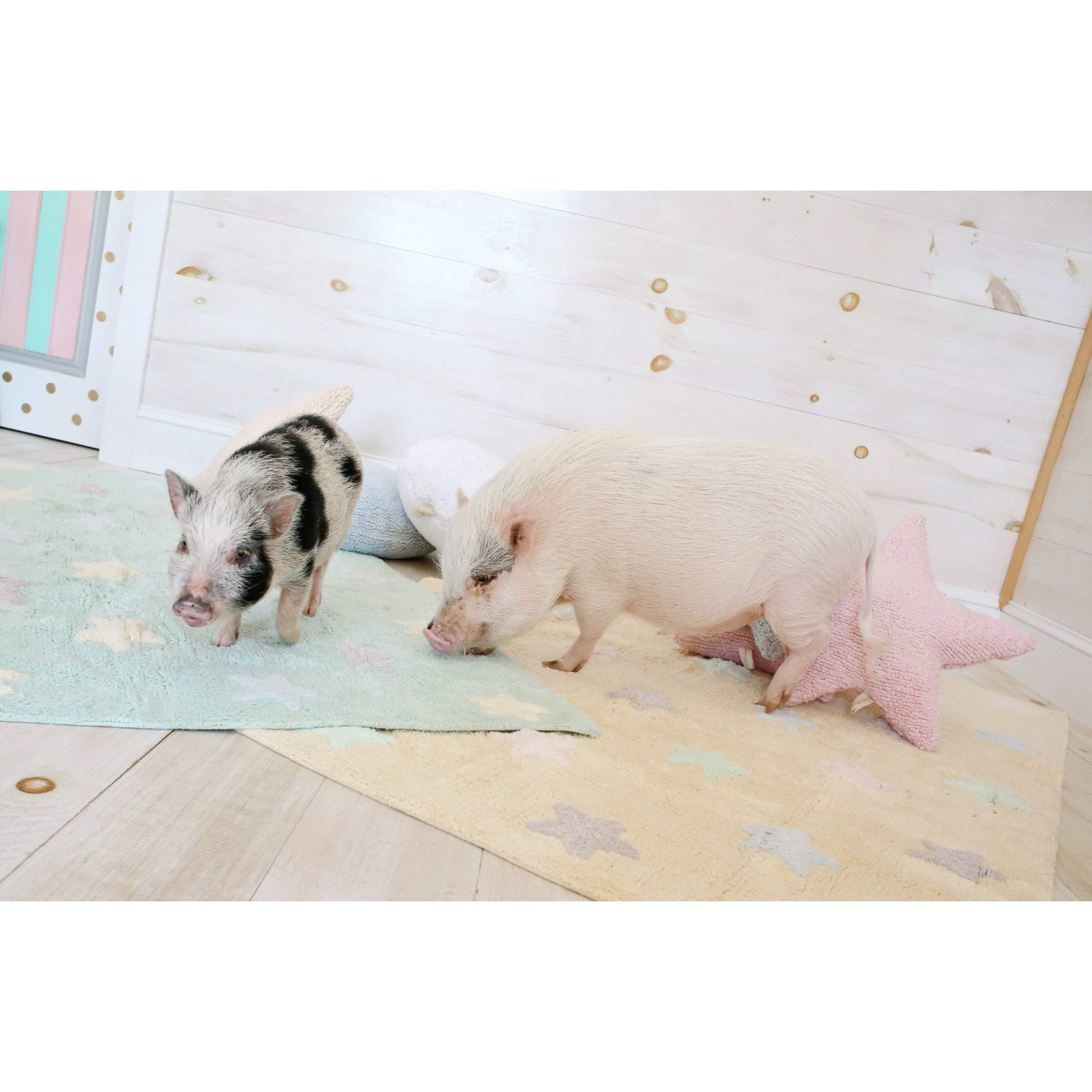 Rugs by Roo | Lorena Canals Star Pink Cushion-SC-ST-PK